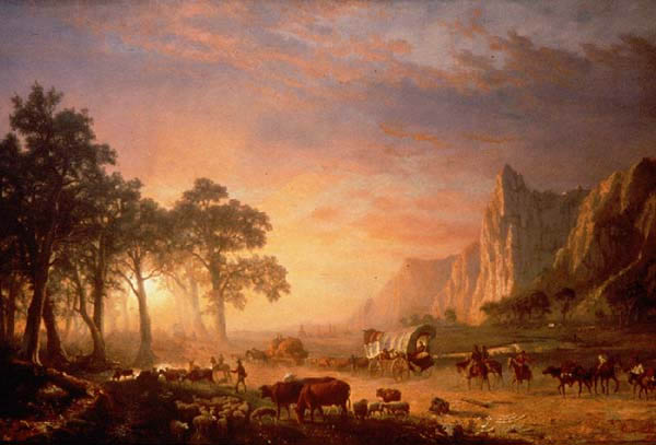 Nature's Continent
